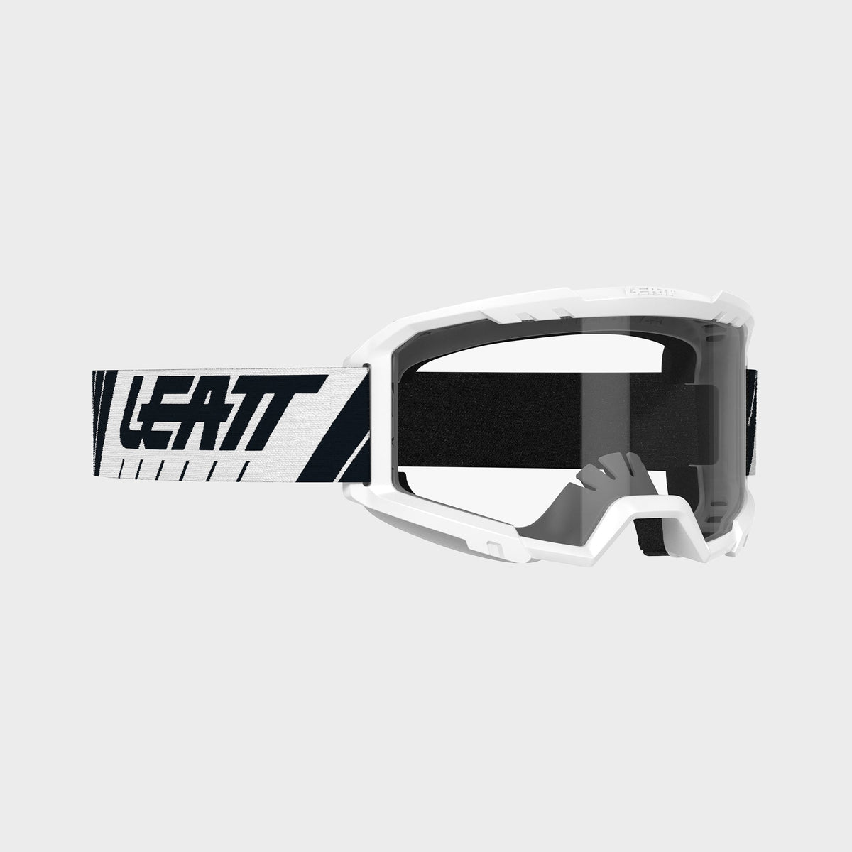 Goggle Vizion 2.5