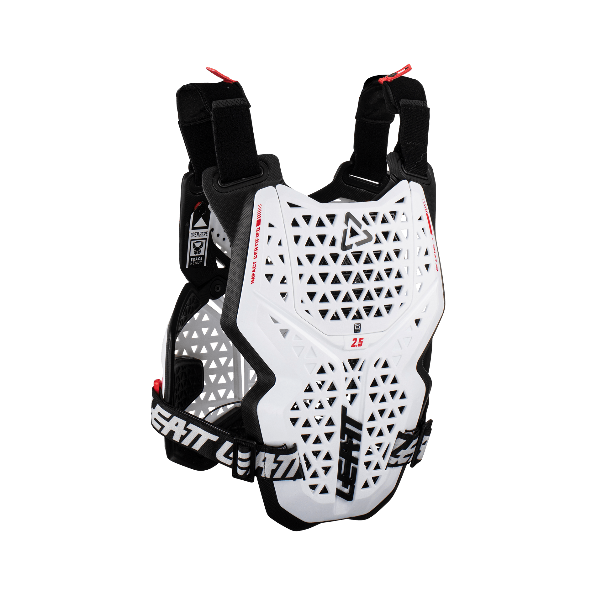 Chest Protector 2.5