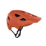 Helmet MTB AllMtn 2.0