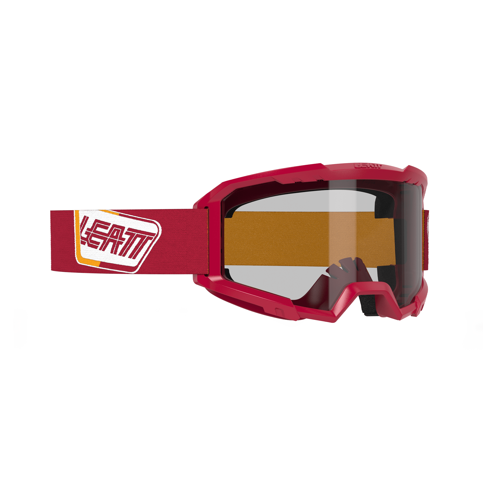 Goggle Vizion 2.5