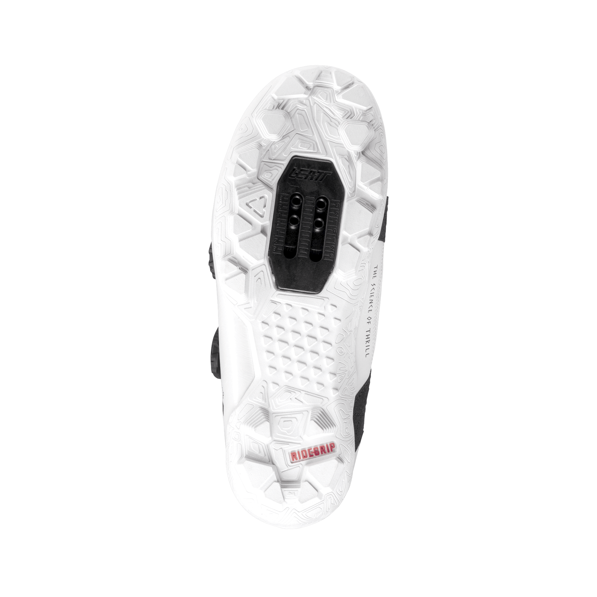 Shoes ProClip 8.0 Race - Women