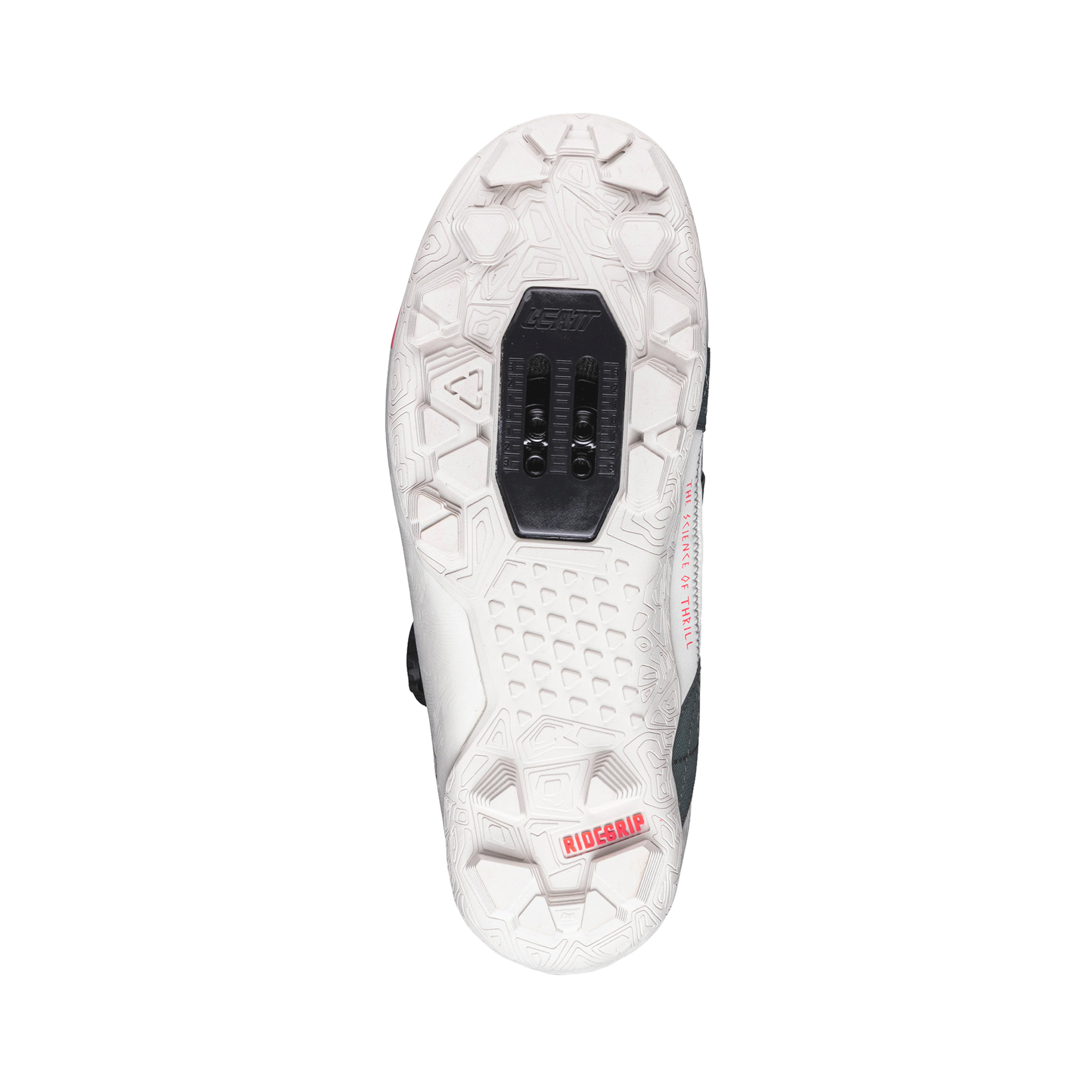 Shoes ProClip 8.0 Endurance