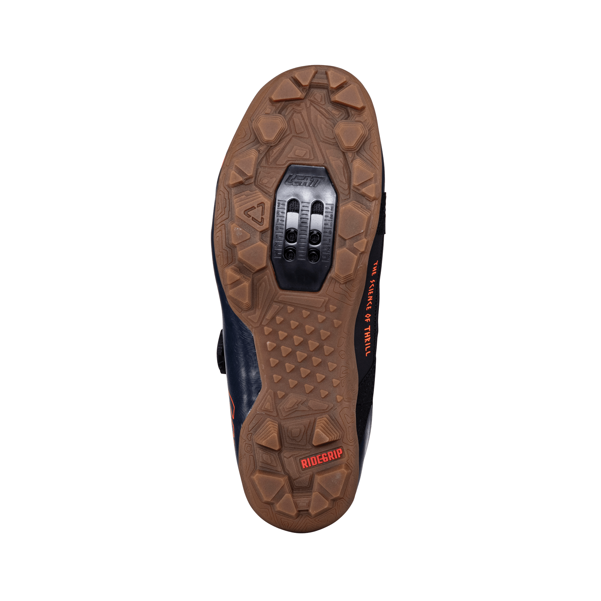 Shoes ProClip 8.0 Endurance - Women