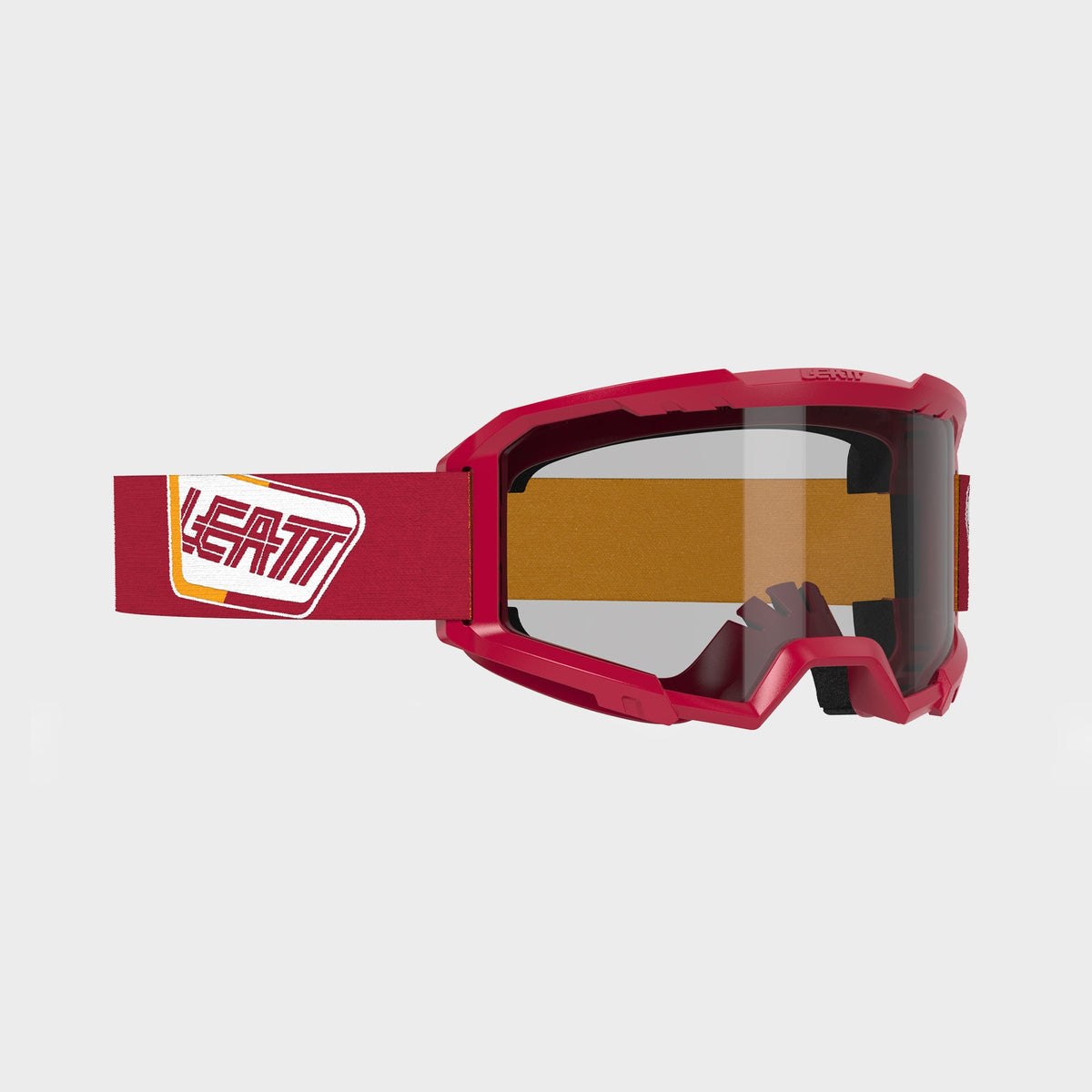 Goggle Vizion 2.5