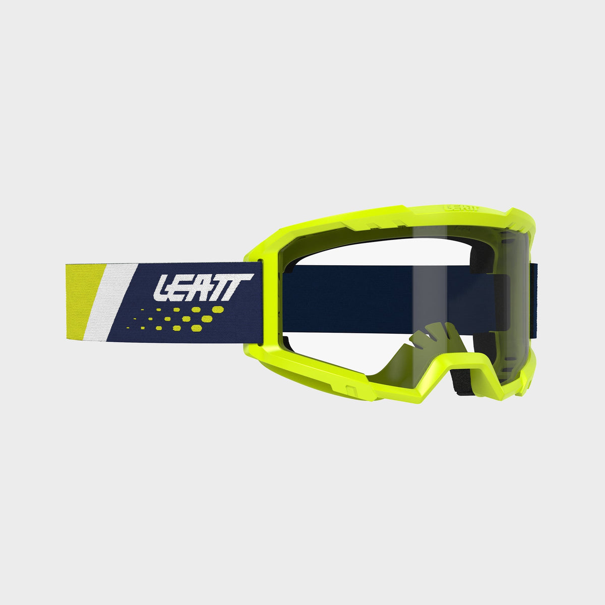 Goggle Vizion 2.5