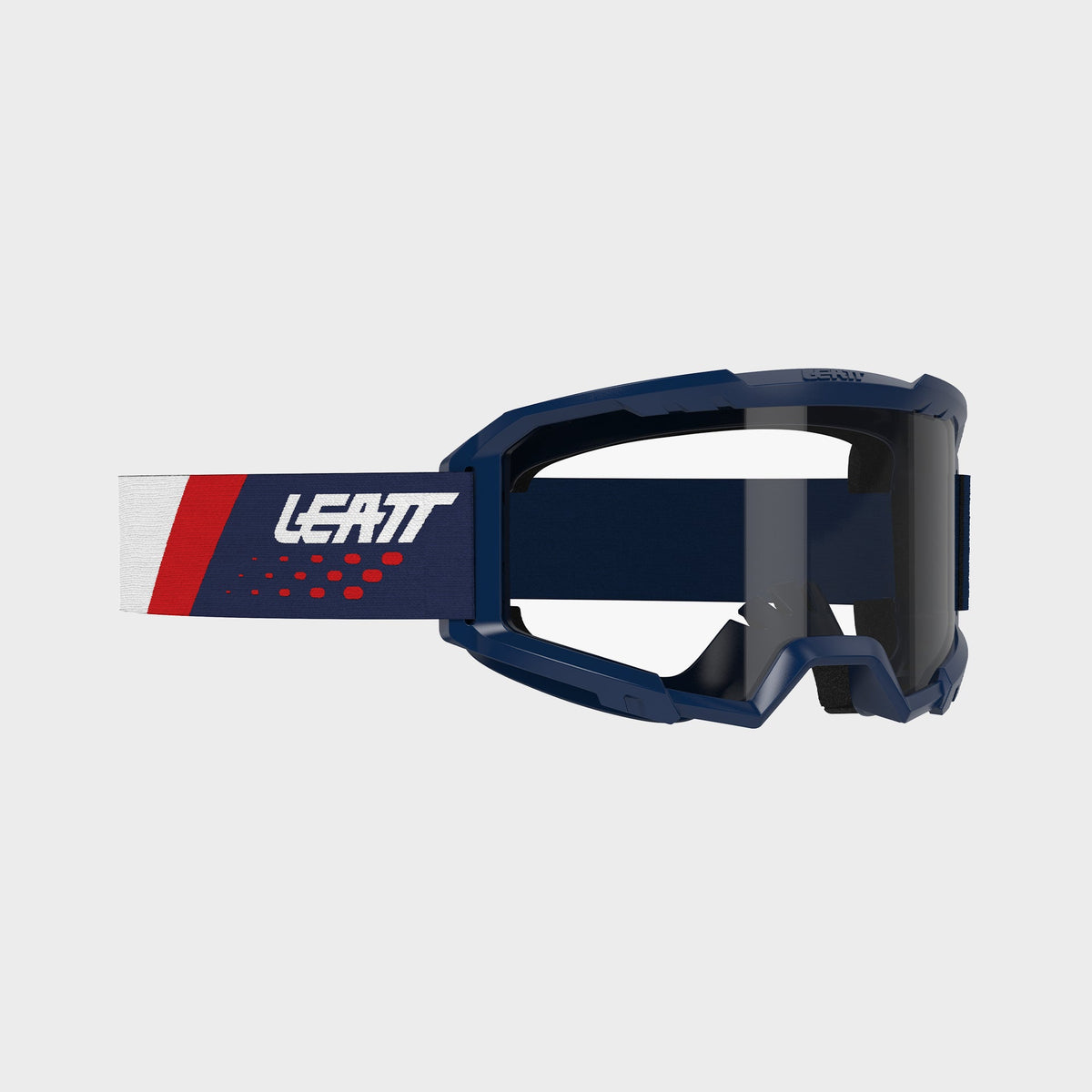 Goggle Vizion 2.5