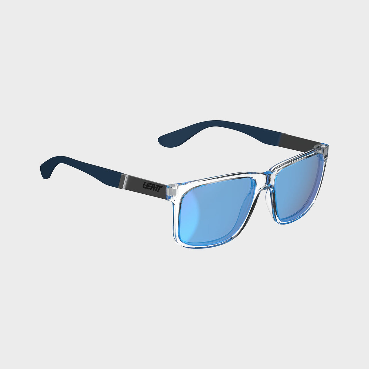 Sunglasses TheViz Sierra - Leatt