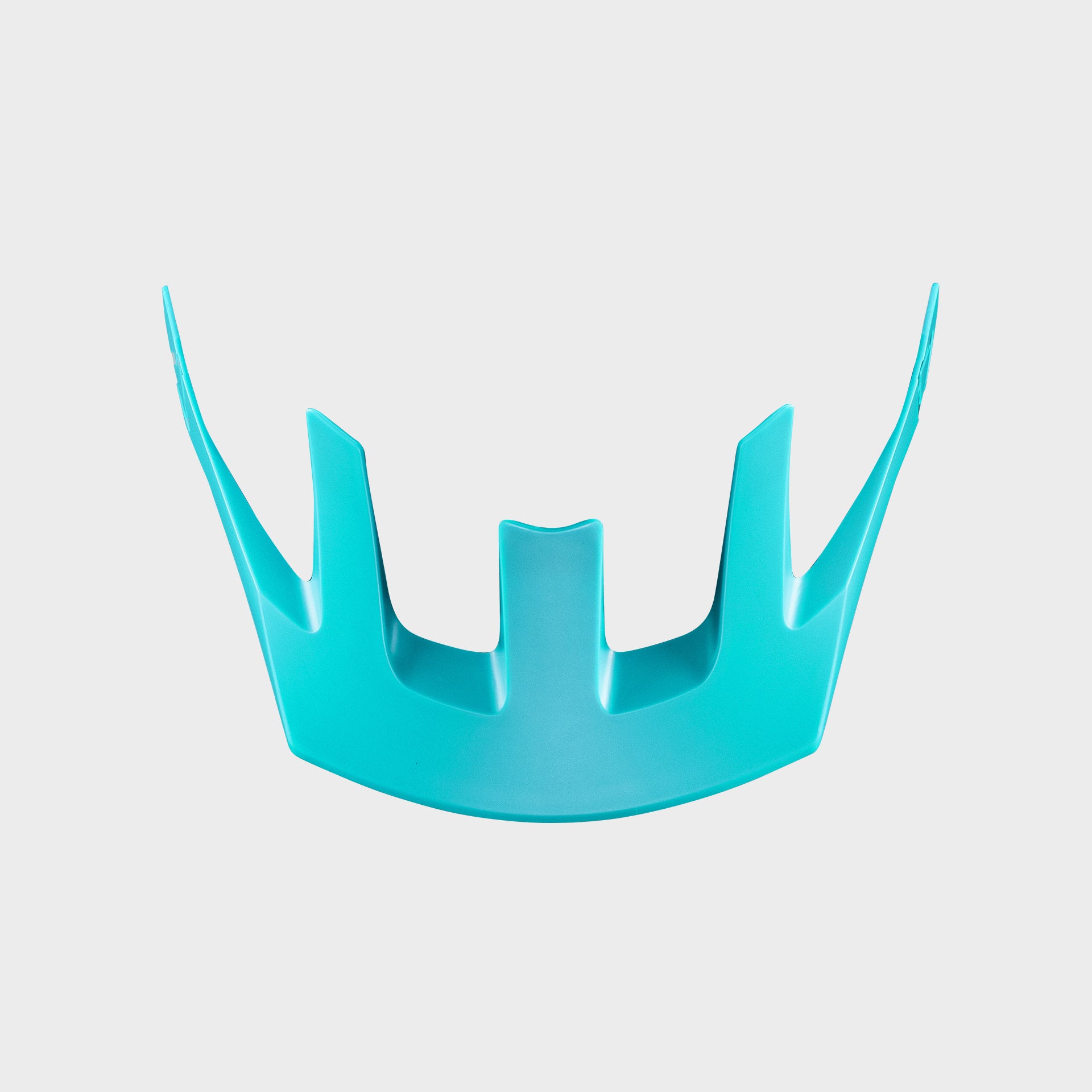 Visor MTB AllMtn 1.0 V24 #Jr