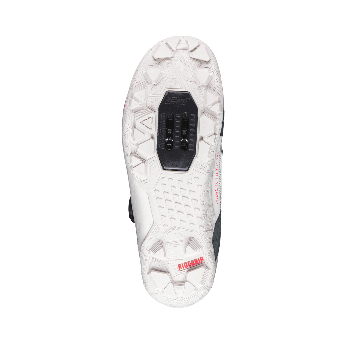 Shoes ProClip 8.0 Endurance