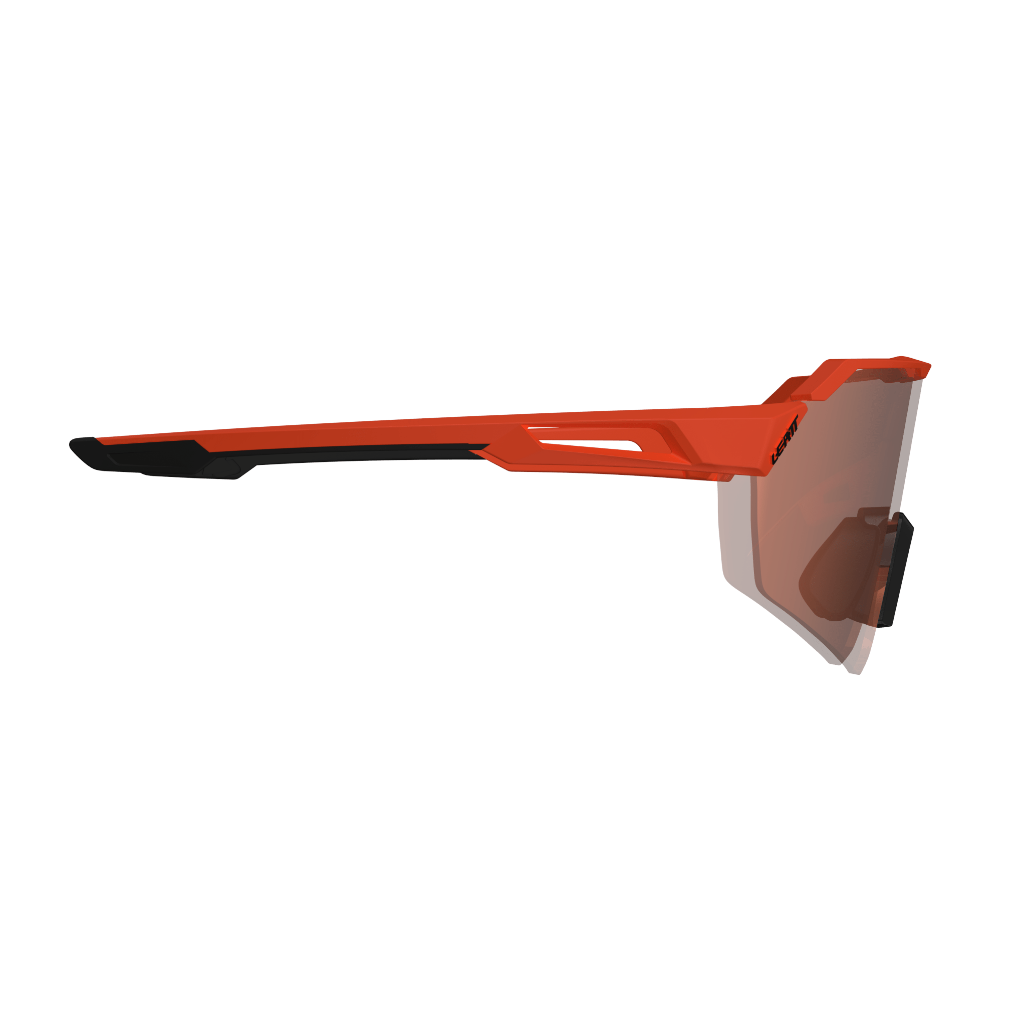 Sunglasses RideViz Lite