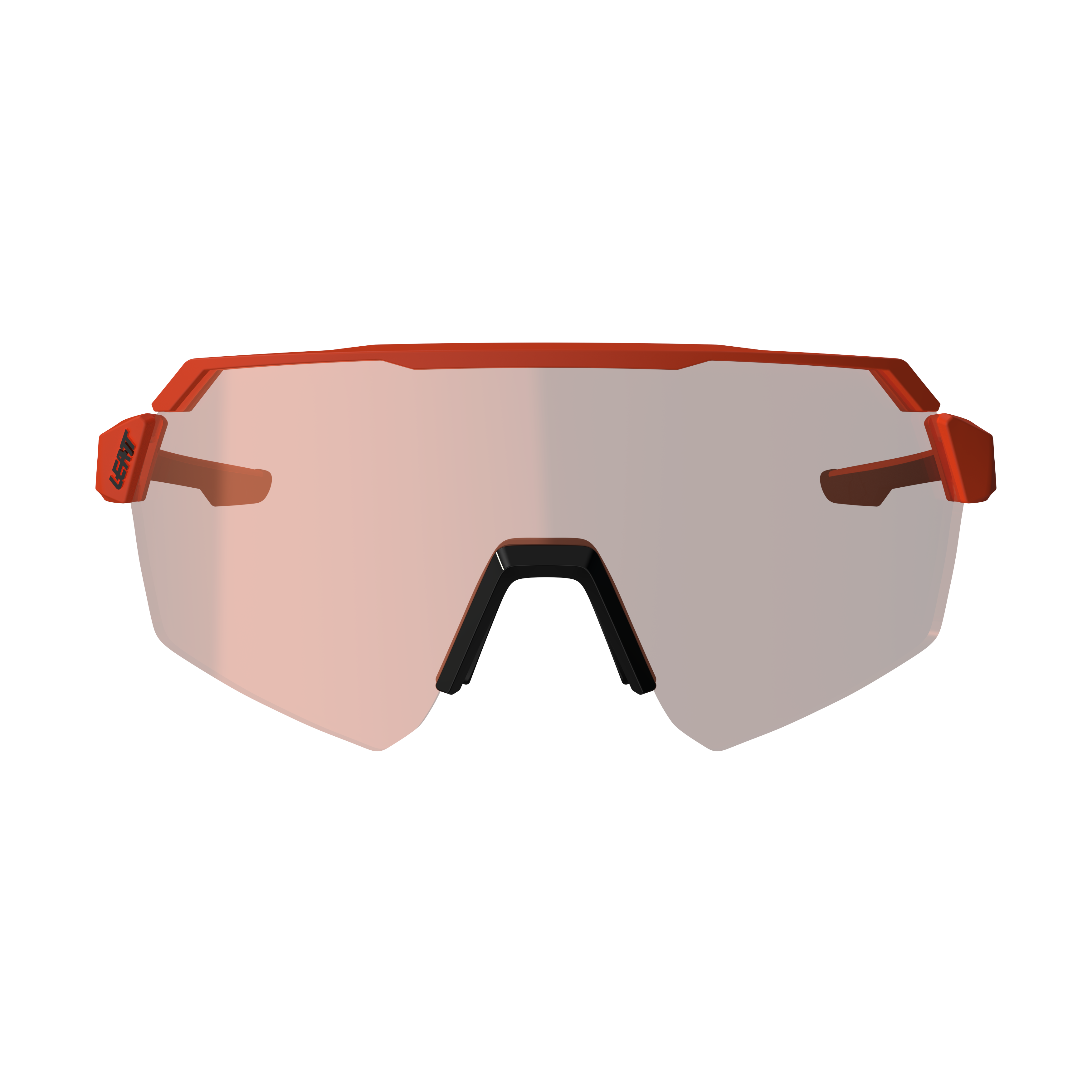 Sunglasses RideViz Lite